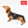 胴長犬の腰をサポート、犬用コルセット「わんコル With」発売…ダイヤ工業 画像