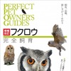 フクロウの飼育環境から調教の仕方まで解説、「増補改訂 フクロウ完全飼育」刊行…誠文堂新光社 画像
