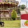 富士急ハイランド内「リサとガスパール タウン」にドッグランオープン…入園＆利用料無料 画像
