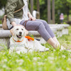 【働く犬】盲導犬編 vol.5…「障害のない社会」の実現をめざして［インタビュー］ 画像