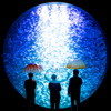 加茂水族館、クラゲの美しさを再現した「雨空を泳ぐクラゲの傘」を監修 画像