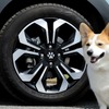 車を肉球デザインでドレスアップ、ホイールセンターキャップとセレクトノブ発売…Honda Dog愛犬用アクセサリー 画像
