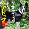 児童向けノンフィクション『クマが出た！助けてベアドッグ－クマ対策犬のすごい能力』、岩崎書店より刊行…9月15日 画像