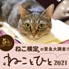 「ねこ検定の緊急大調査『ねことひと2021』」開催…写真・動画募集や初のオンライン検定など 画像