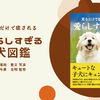 103種310匹の犬を写真で紹介、『見るだけで癒される 愛らしすぎる犬図鑑』刊行…大和書房 画像