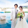 シロイルカと一緒に写真が撮れるフォトウェディングプランが登場…横浜・八景島シーパラダイス 画像