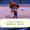 『あつまれ どうぶつの森』ステイホームの達人「ヤドカリ」ってどんな生き物？【平坂寛の『あつ森』博物誌】 画像