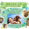 JAF三重、「わんこビレッジ」会場にJAFオリジナルコンテンツを出展…11月13・14日 画像