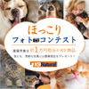 K9ナチュラルジャパン、愛犬・愛猫の“ほっこり写真”を募るフォトコンテストを開催…11月28日まで 画像