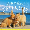 “島猫”たちの写真集『日本の島のごきげんな猫』、エムディエヌコーポレーションより刊行 画像