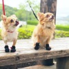 擦れや汚れから守る、犬用おでかけシューズ「アニサポ ナックルンHERO」発売 画像