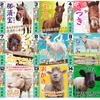 りんどう湖ファミリー牧場、「まきばのアニマル総選挙2021」を開催…11月20日～11月30日 画像