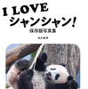 上野動物園のパンダ・シャンシャンの選りすぐりカットが満載、『I LOVE シャンシャン！ 保存版写真集』刊行 画像