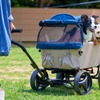 小型犬の多頭飼いや中型犬向けの大型ペットワゴン、「ibiyaya アウトドアペットワゴン」発売 画像