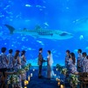 沖縄美ら海水族館でのリゾートウェディングサービス開始…12月11日から 画像