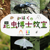 国立科学博物館×aini、「かはくの昆虫博士教室」を開講…22年1月スタート 画像