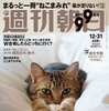 週間朝日が猫まみれに…特別付録は岩合光昭氏の寅年2022「とらねこ」カレンダー 画像