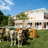 愛犬と泊まれるホテル1位は？ 「愛犬と一緒に過ごせる場所の範囲」が選ぶ時のポイント…ルーティングシステムズ調べ 画像