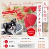 愛犬と楽しめるいちご狩り、千葉県の農園で予約受付スタート 画像