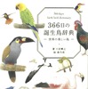 その日ごとの“誕生鳥”を描き下ろしイラストと共に…『366日の誕生鳥辞典 世界の美しい鳥』 画像