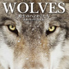 『WOLVES野生のハンターたち 世界のオオカミ写真集』刊行…大自然の中で生きる術に迫る 画像