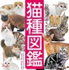 『いちばんよくわかる猫種図鑑 日本と世界の60種』刊行…日常のケアや豆知識も紹介 画像