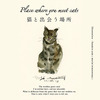 「Place where you meet cats ～猫と出会う場所～」、西武池袋本店にて開催…2月15日～3月1日 画像
