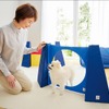 ペピイ「Sippoleアジリティ」に新作…子犬からシニアまで楽しめる犬用室内玩具 画像