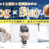 ホテルリブマックス、愛犬と一緒に泊まれる「Dog×Stay」プランの対象施設を拡大 画像