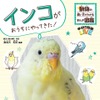まんが図鑑『インコがおうちにやってきた！』、学研プラスより刊行 画像
