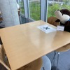 アクアマリンふくしまのレストラン、カワウソやタコのぬいぐるみと相席を楽しんで…コロナ対策で“密防止” 画像