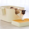 猫用の大型オープントイレ「TALL WALL BOX」発売…オーエフティー 画像