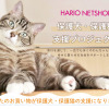HARIOペット、「保護犬・保護猫支援プロジェクト」を実施 画像