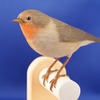 企画展「ダーウィンを驚かせた鳥たち 日本の生物多様性とその保全」、港区立みなと科学館にて開催…3月25日～5月8日 画像