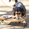 愛犬向けのフードボウル＆スタンドを発売…クイックキャンプ 画像