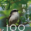 『散歩道の図鑑 あした出会える野鳥100』、山と溪谷社より刊行 画像