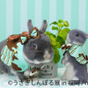 「うさぎしんぼる展 2022 in 福岡」開催、新作グッズも登場…4月23日～5月15日 画像
