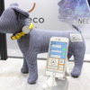 ペットの活動量で会話体験＋みまもり＋異常を検知する「Waneco Talk」【インターペット2022】 画像