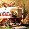 アパレル・グッズに加え、愛犬と泊まれるキャンプ場やホテルも…DOG DEPT【インターペット2022】 画像