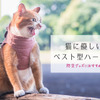 ぽぽねこ、猫の防災グッズ「猫に優しいベスト型ハーネス」を発売 画像