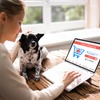 ペット用品購入、コロナ禍でネットショップの利用が増加…ペテモ調べ 画像