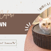 猫用爪とぎベッド「アズニャン」に新色ブラウンが登場 画像