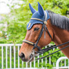 警視庁で活躍する「馬のお巡りさん」…交通機動隊の騎馬隊［インタビュー］ 画像