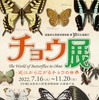 「チョウ展―近江から広がる チョウの世界―」、琵琶湖博物館にて開催…7月16日～11月20日 画像