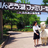 那須りんどう湖レイクビュー、アルパカと一緒に散歩ができる「ぱかぱかさんぽ」を開始 画像