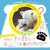 ホッキョクグマの“毛のヒミツ”を解説、天王寺動物園で無料セミナー開催…7月21日 画像