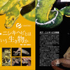 誠文堂新光社、「ディスカバリー生き物・再発見 ヘビ大図鑑 ボア・ニシキヘビ編」を刊行…7月8日 画像