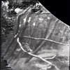 企画写真展「100年前にカワセミを撮った男・下村兼史－日本最初の野鳥生態写真家－」開催…9月30日まで 画像