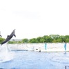 京都水族館、イルカとトレーナーの友情を届ける新しいパフォーマンス「YEAH！！」を開始…7月16日から 画像
