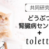トレッタキャッツ、どうぶつ腎臓病センターと猫の腎泌尿器疾患に関する共同研究を開始 画像